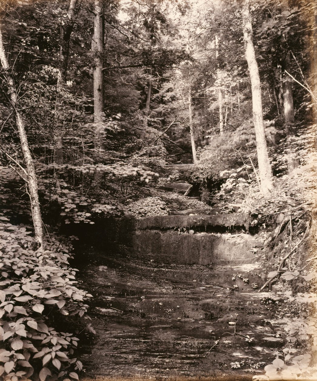 Jezero Owasco, Cascade Glen, pro společnost Lehigh Valley Railroad od William H. Rau