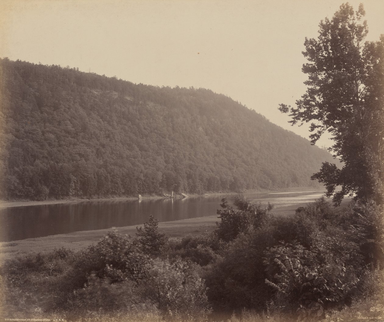 Susquehanna na Standing Stone od William H. Rau