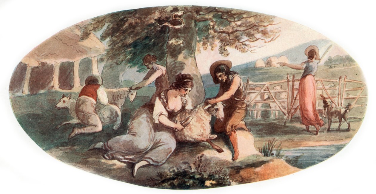 Stříhání ovcí, 1912. od William Hamilton