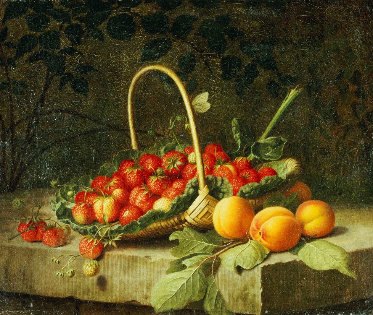 Košík jahod s broskvemi na kamenné římse, 1856 od William Hammer