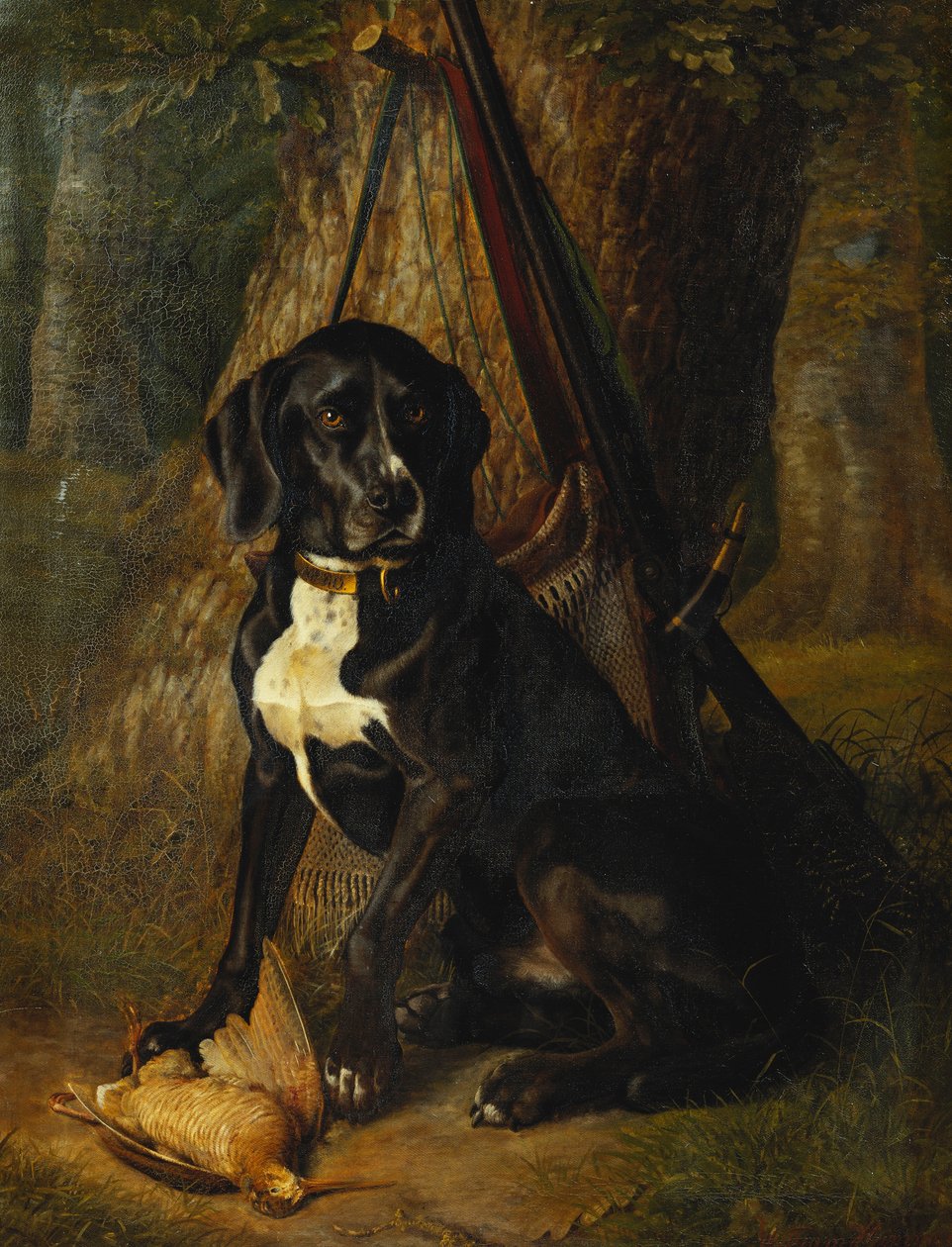 A Gun Dog with a Woodcock, 1842 od William Hammer