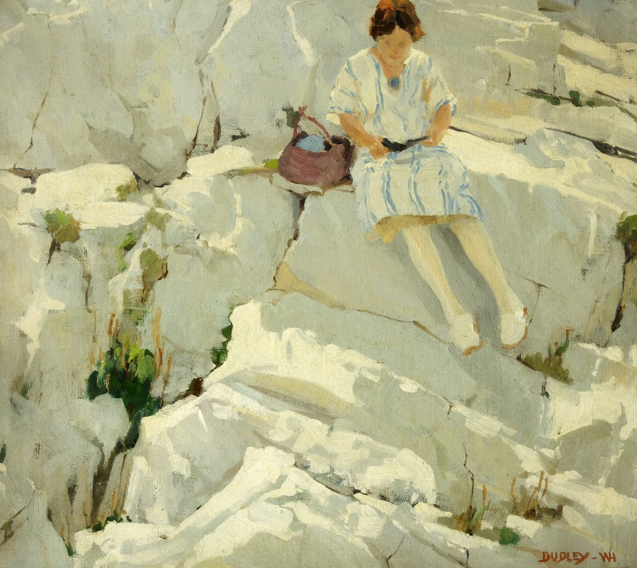 Motýl na skalách od William Harold Dudley