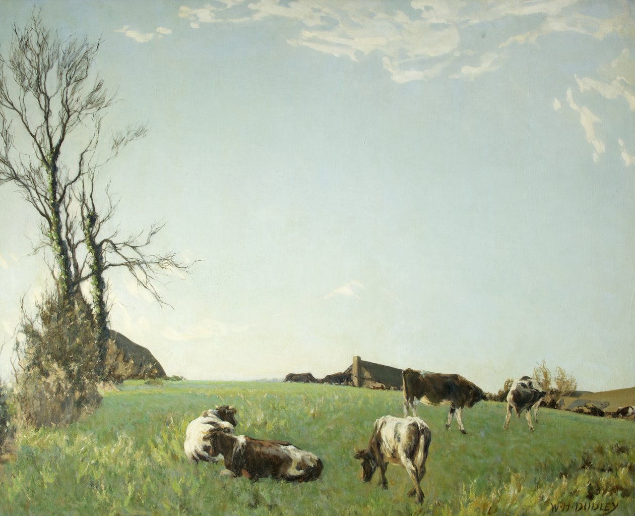 Stříbrné ráno od William Harold Dudley
