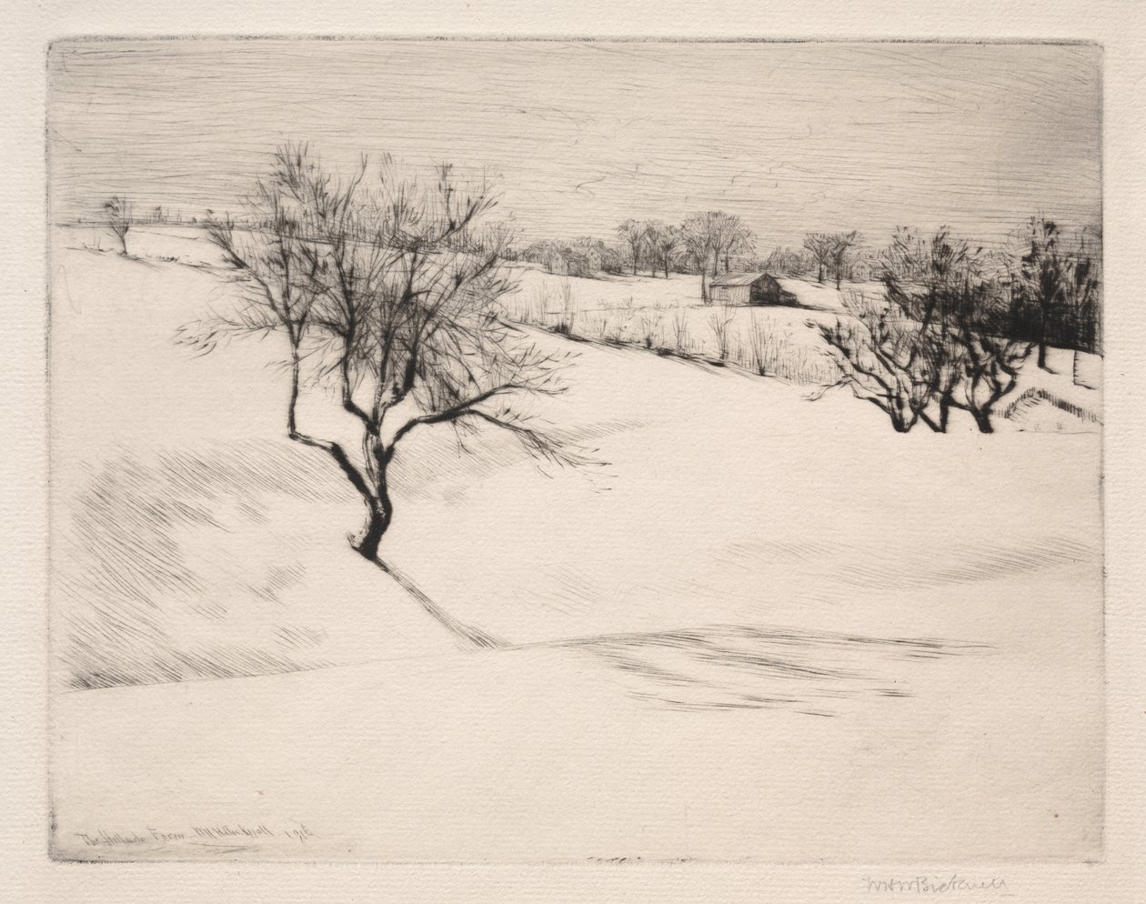 Farma Hillside od William Harry Warren Bicknell