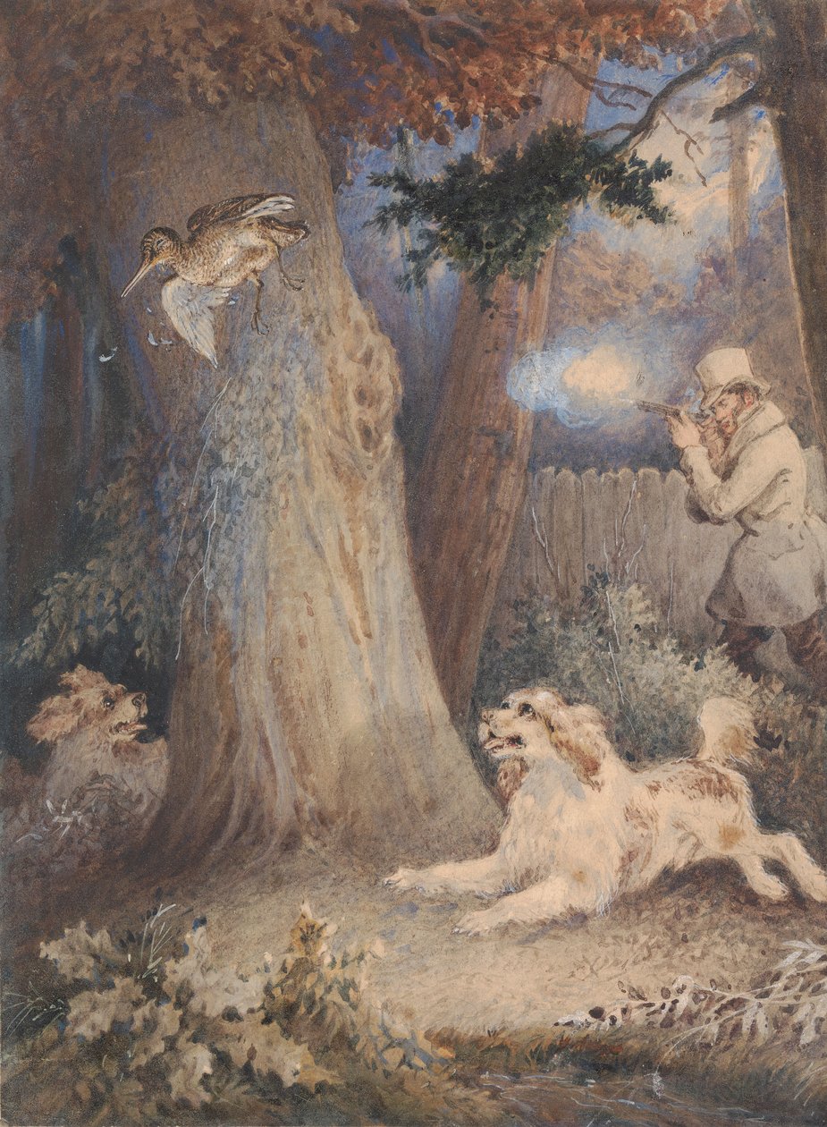 Lov sluk od William Heath
