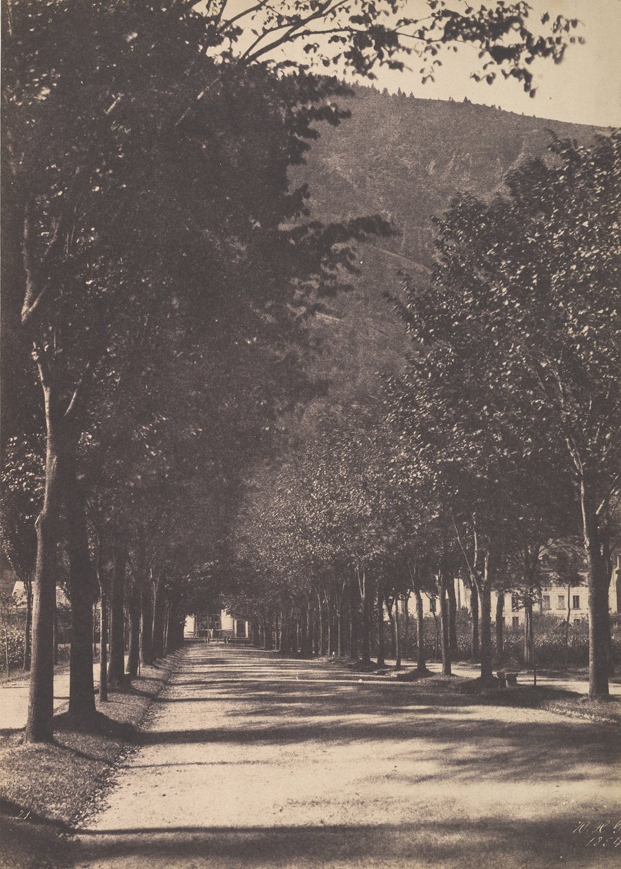Alej stromů, Pau, 1854. od William Henri Gebhard
