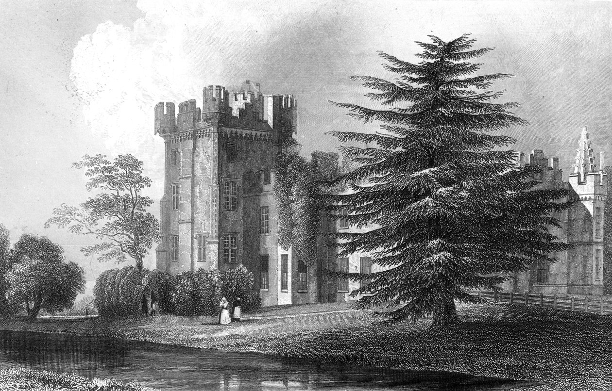 Faulkbourne Hall, poblíž Witham, Essex, vyrytý Henry Wallis, 1832 od William Henry Bartlett