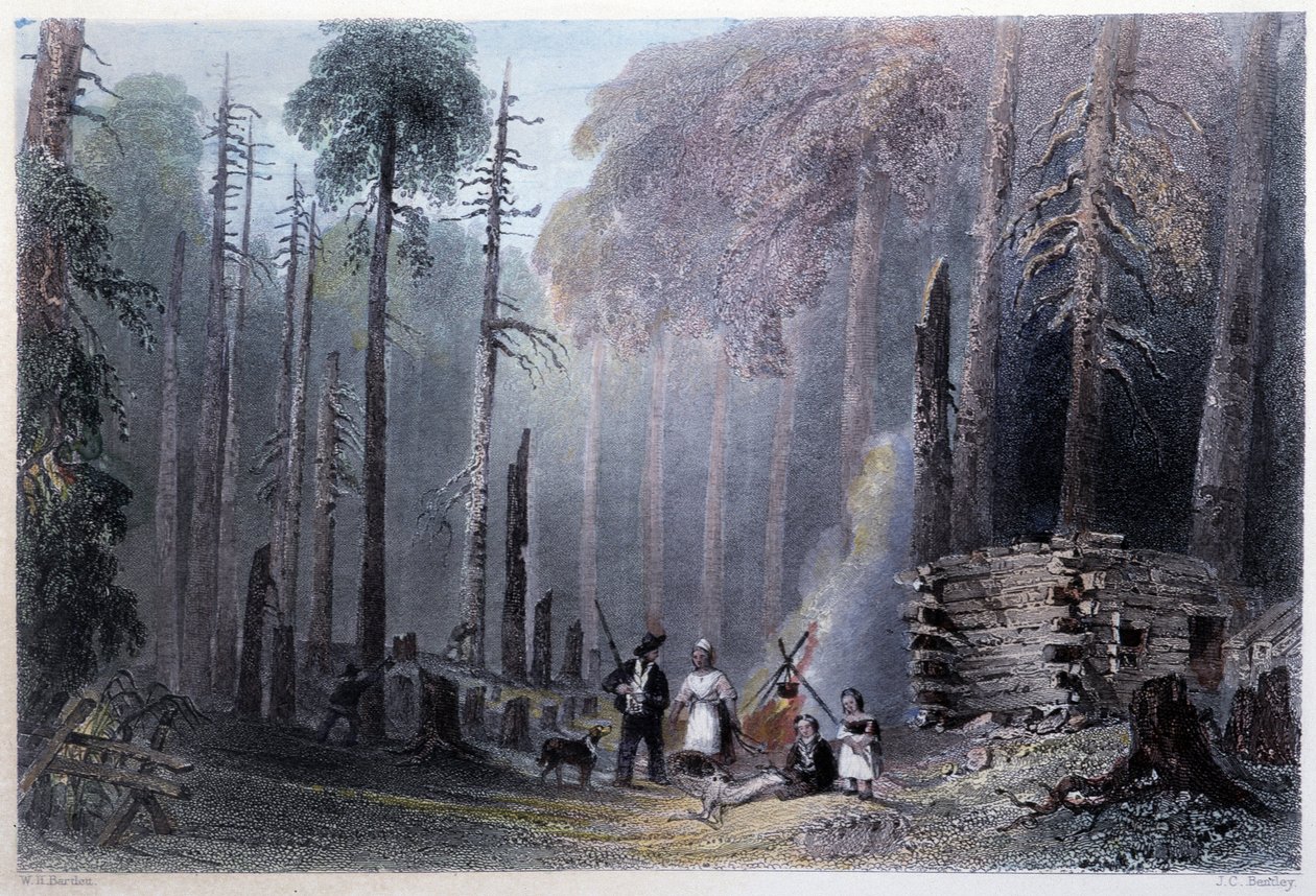 Instalace prvního osadníka - v "" kanadské scenérii ilustrované" W.H. Bartlett, Londýn od William Henry Bartlett