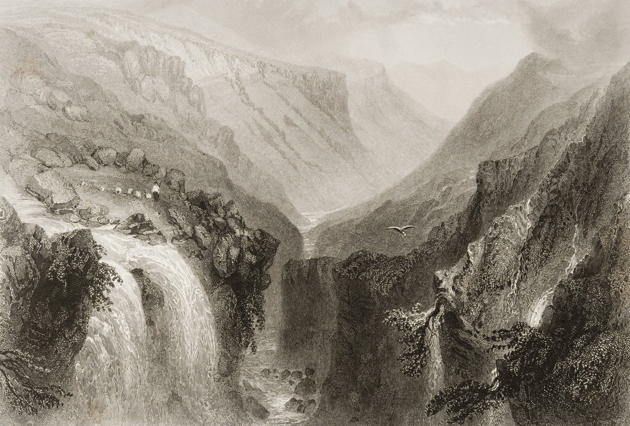 Vedoucí Glenmalure, hrabství Wicklow, z „Scenery and Antiquities of Ireland“ od George Virtue, 1860 od William Henry Bartlett