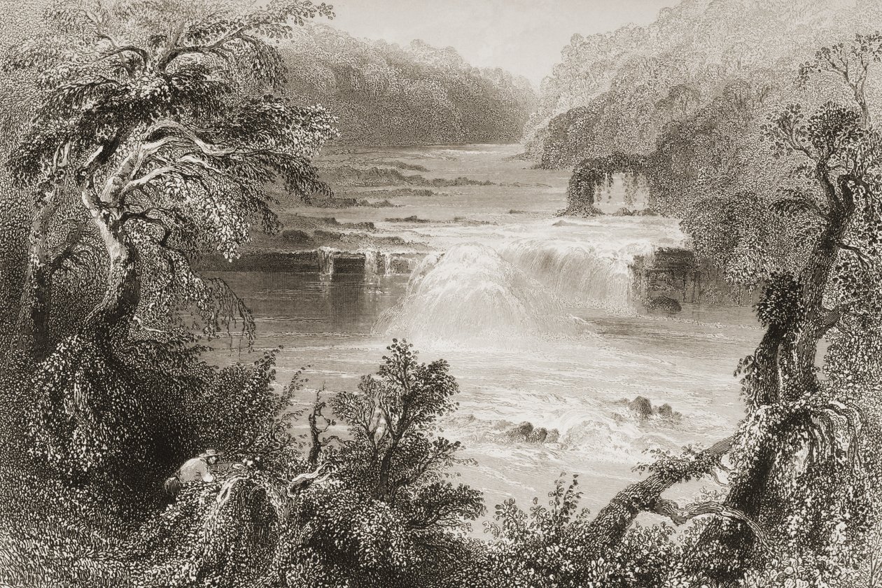 Salmon Leap v Leixlip, hrabství Kildare, z „Scenery and Antiquities of Ireland“ od George Virtue, 1860 od William Henry Bartlett