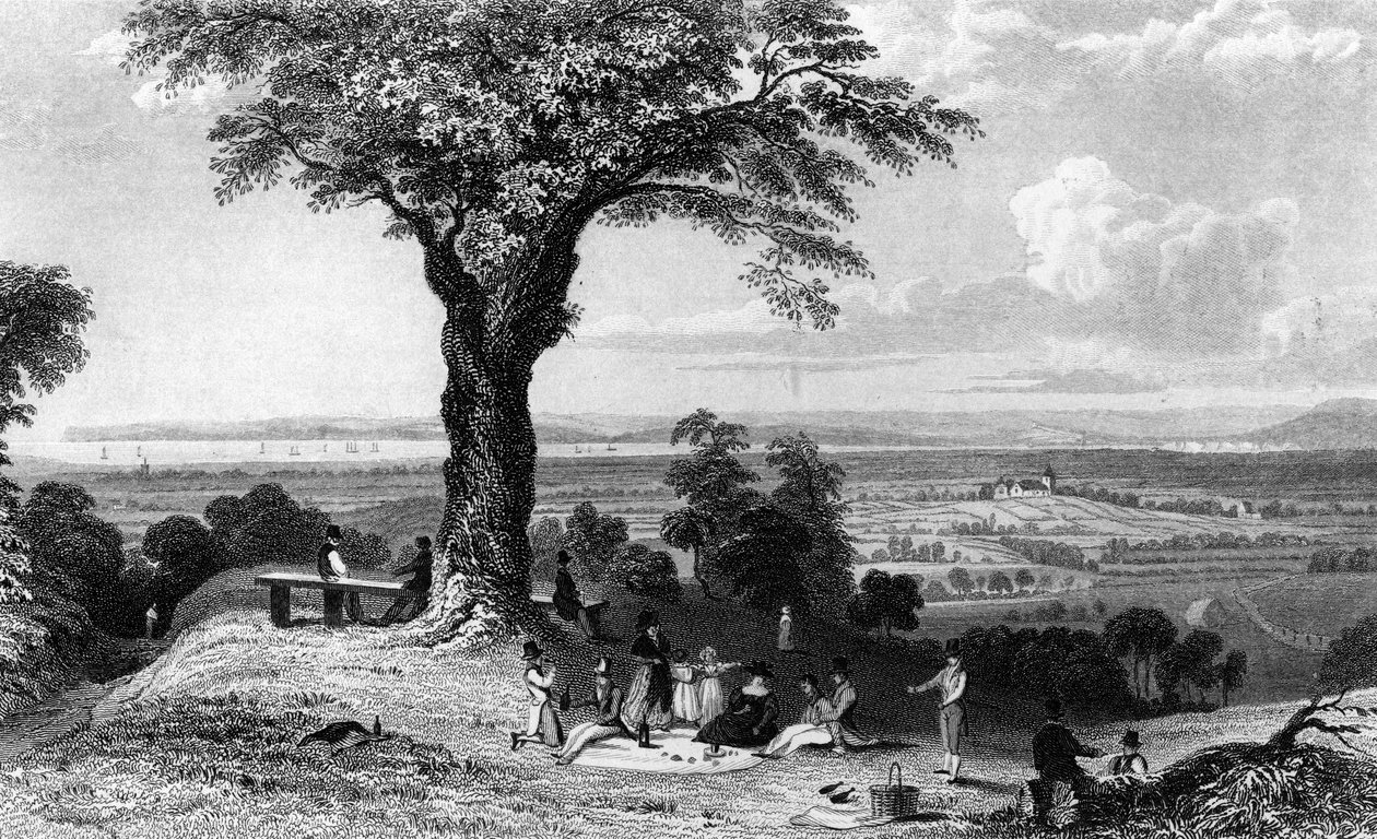 Scéna z kopce Laindon Hill u Horndonu, Essex, rytina Henry Wallis, 1832 od William Henry Bartlett