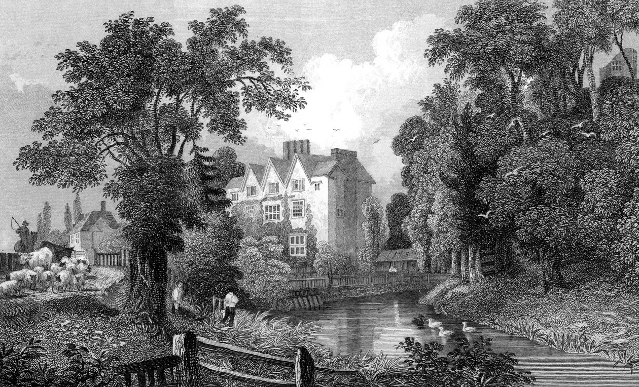 Příkop Ongar Castle a Castle House, Essex, vyrytý Henry Wallis, 1832 od William Henry Bartlett