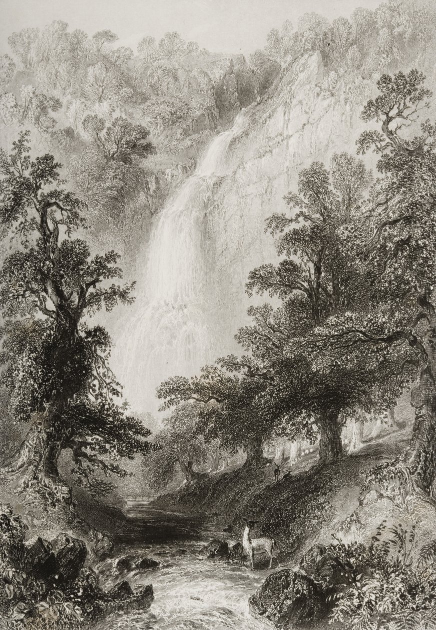 Vodopád, Powerscourt, hrabství Wicklow, Irsko, z „Scenery and Antiquities of Ireland“ od George Virtue, 1860 od William Henry Bartlett