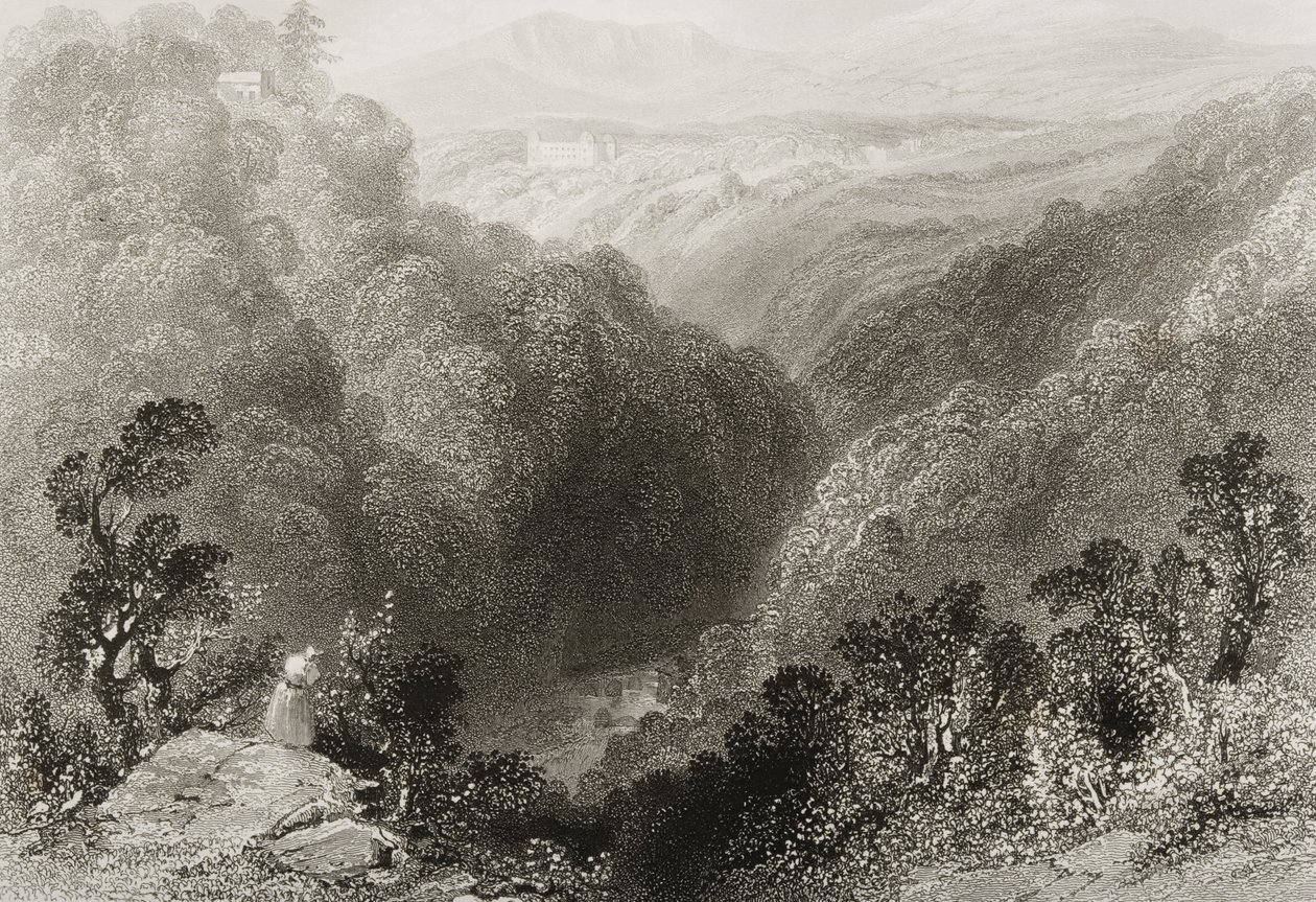 Pohled na Powerscourt z Dargle, hrabství Wicklow, z „Scenery and Antiquities of Ireland“ od George Virtue, 1860 od William Henry Bartlett