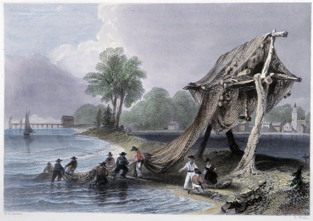 Wellington, Rybaření na jezeře Ontario – v „kanadské scenérii ilustrované“ Bartlettem W. H. od William Henry Bartlett