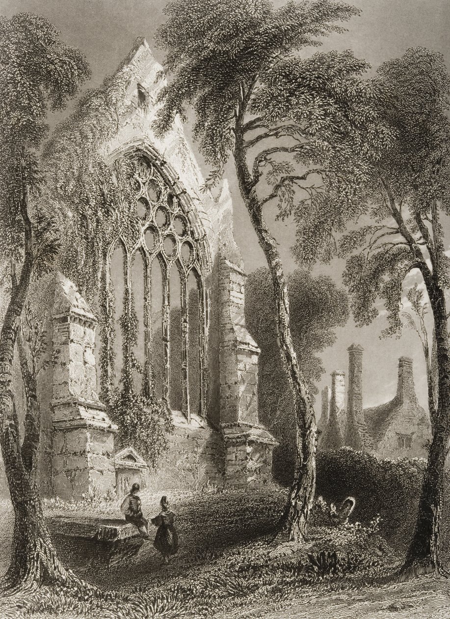 Youghal Abbey, County Cork, Irsko, z „Scenery and Antiquities of Ireland“ od George Virtue, 1860 od William Henry Bartlett
