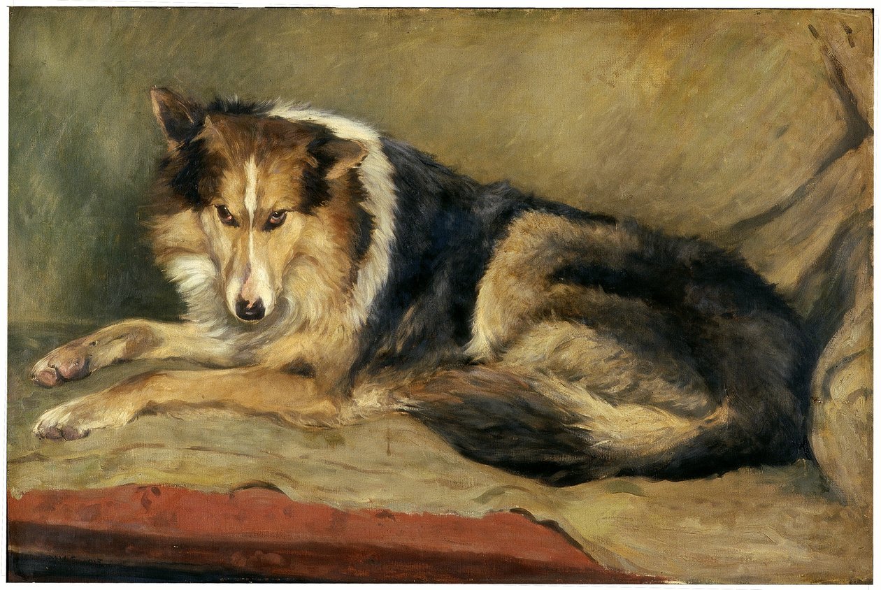 Pes kolie od William Henry Charlton