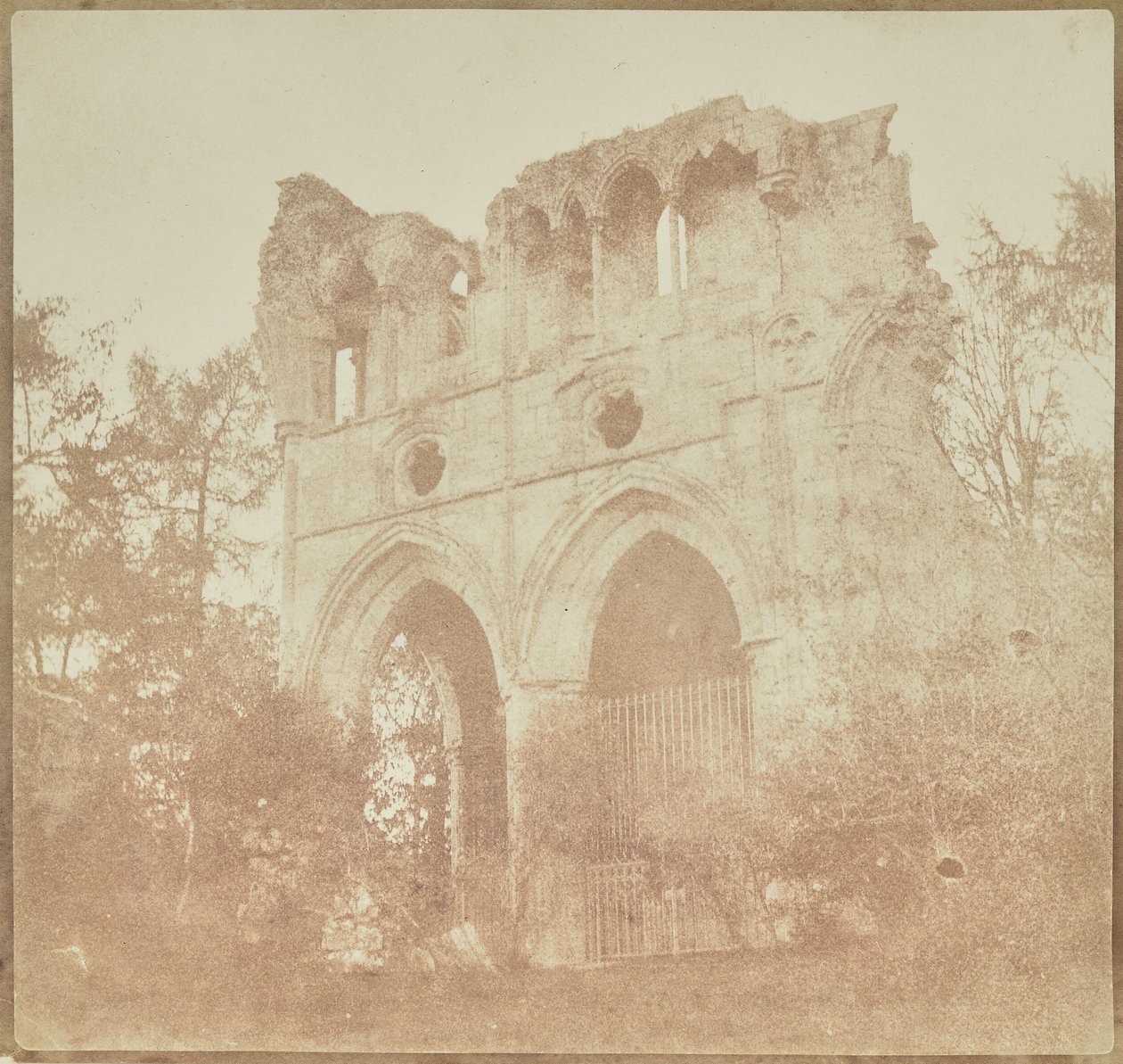 Opatství Dryburgh, hrob Sira Waltera Scotta od William Henry Fox Talbot