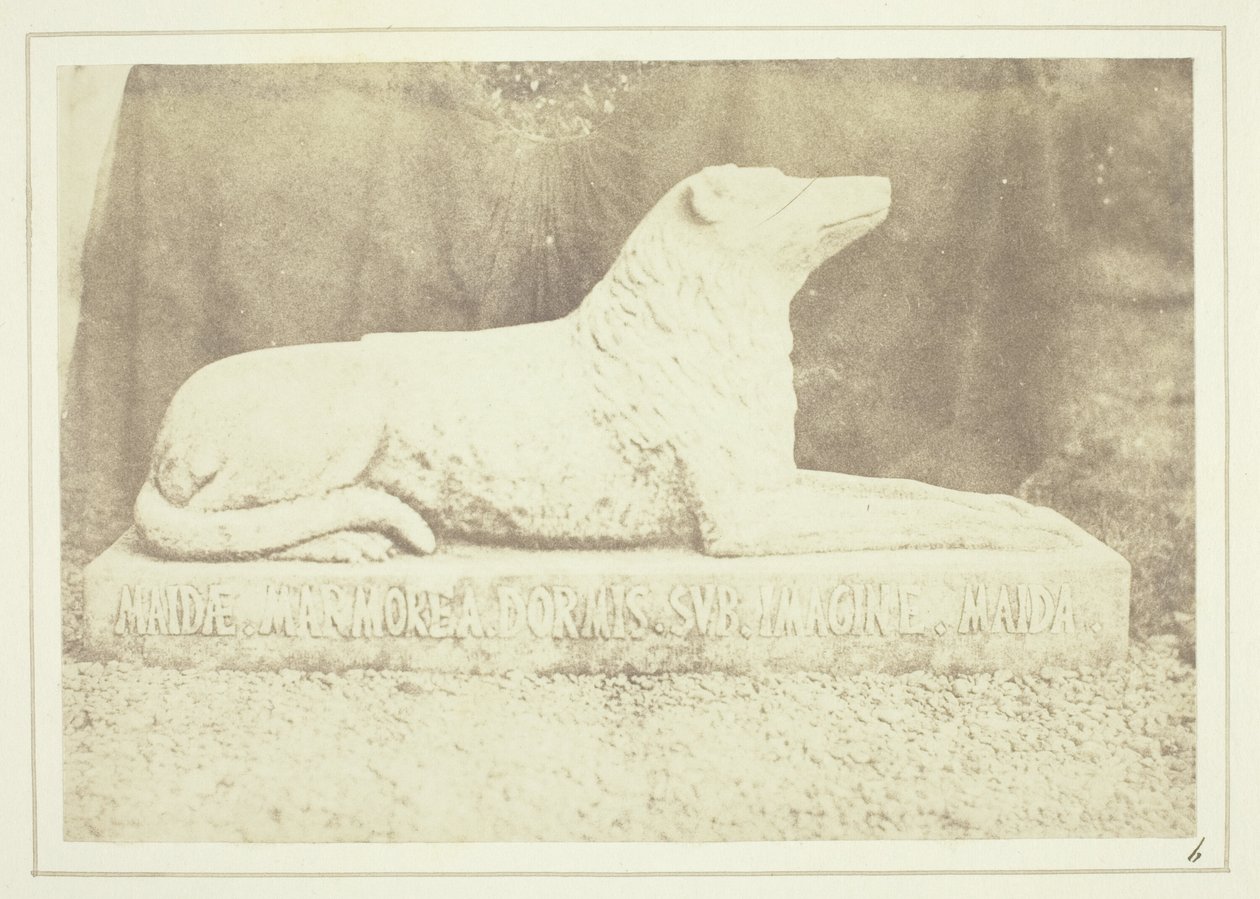 Podobizna oblíbeného psa sira W. Scotta Maida u dveří do haly v Abbotsfordu od William Henry Fox Talbot