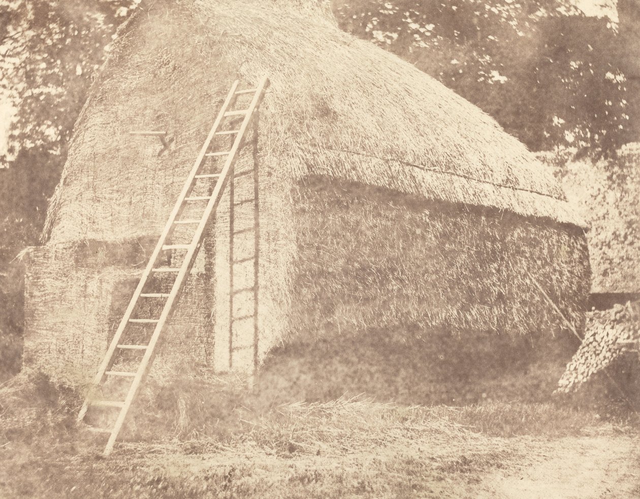 Kupka sena od William Henry Fox Talbot