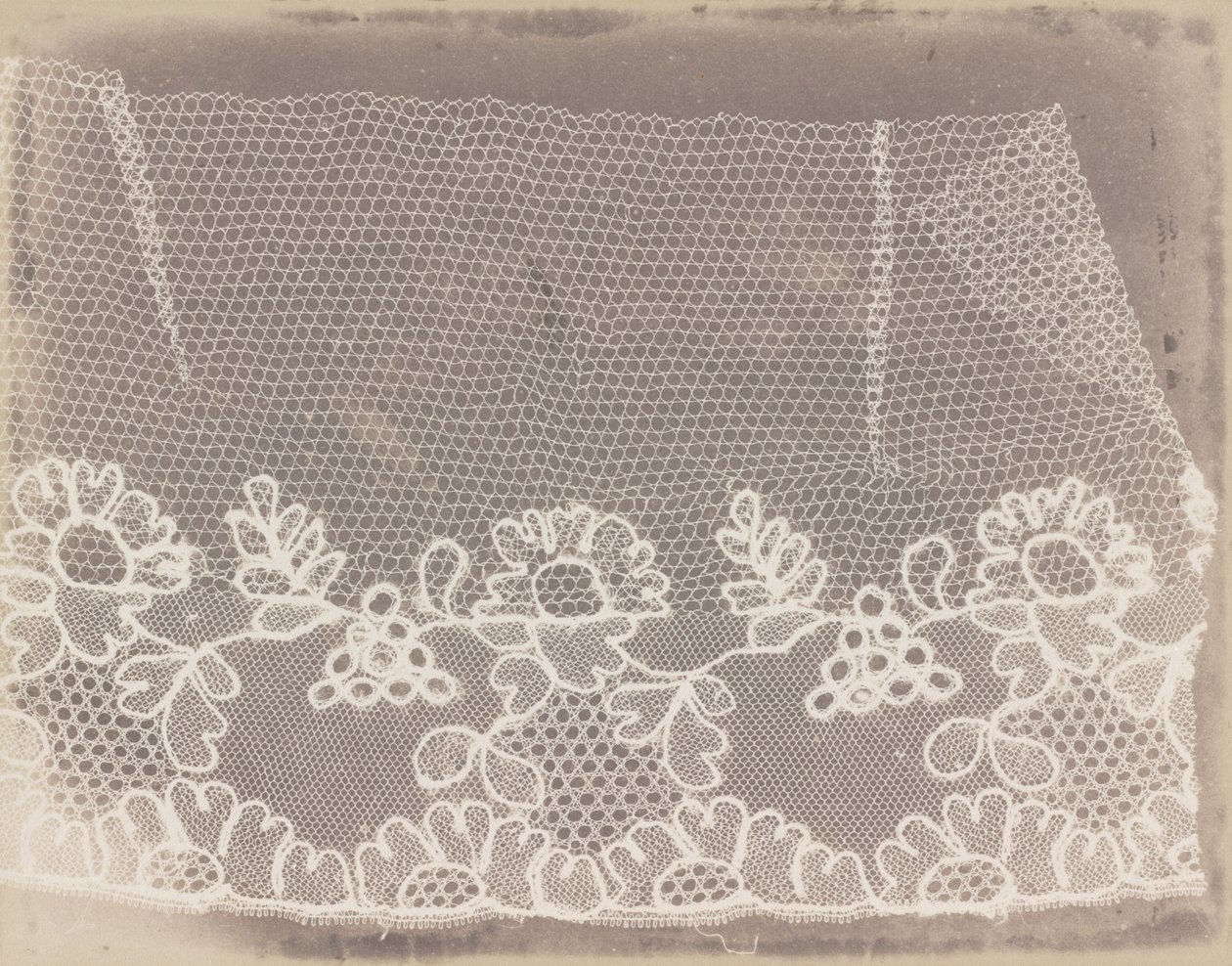 Krajka od William Henry Fox Talbot