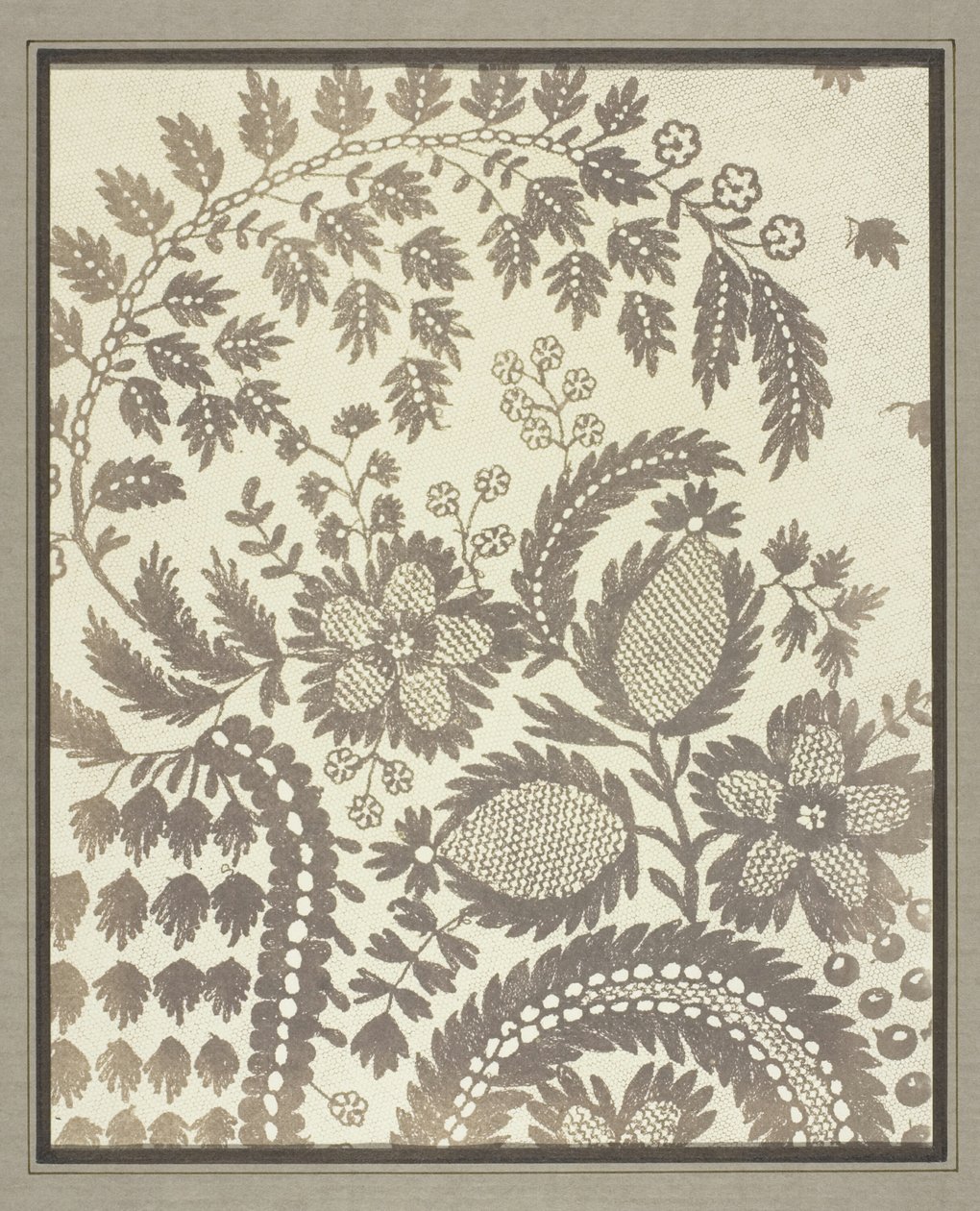 Krajka od William Henry Fox Talbot