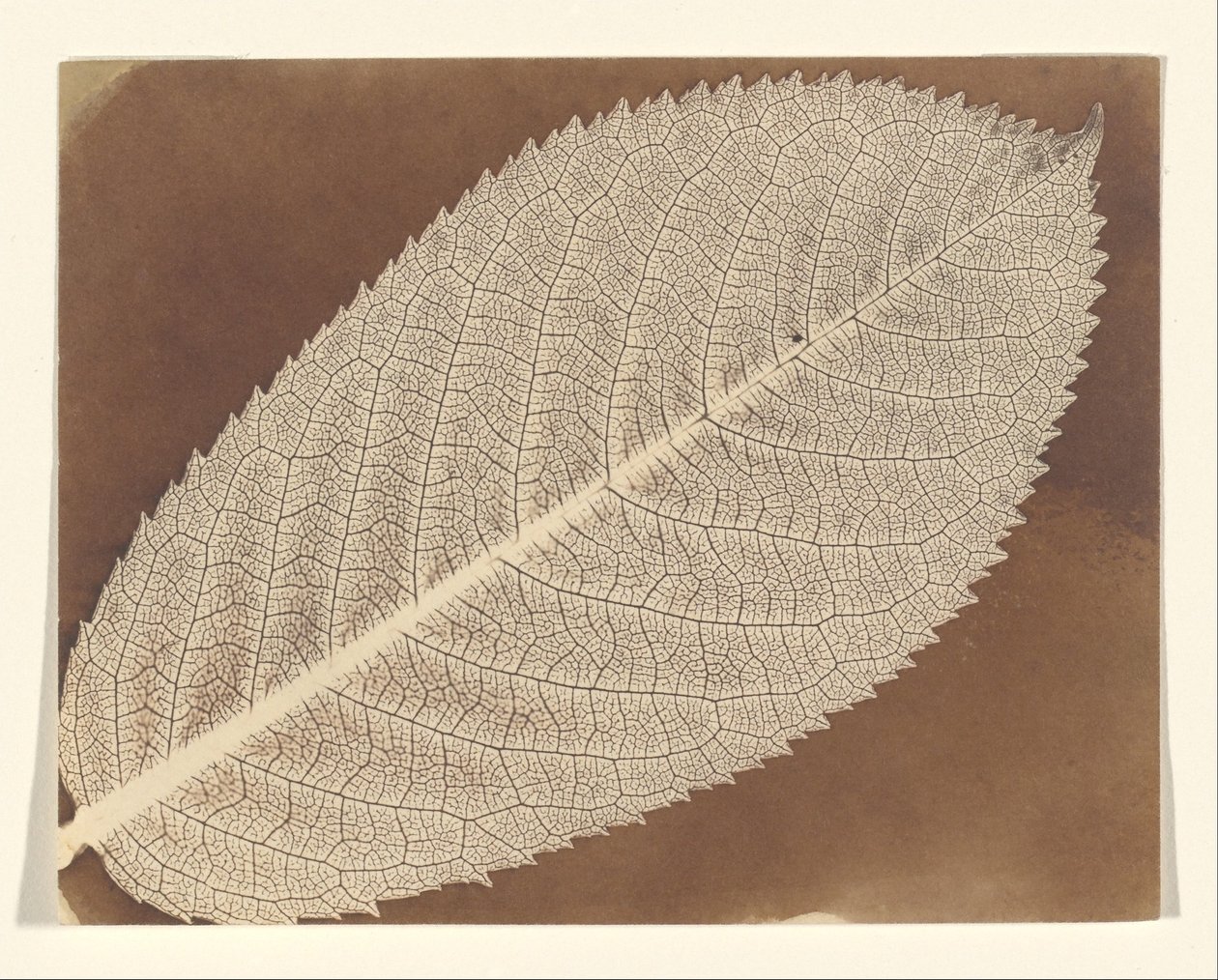 [List] od William Henry Fox Talbot