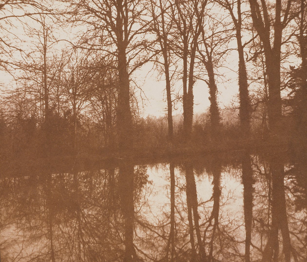 Reflexe, 1843 (sépiová fotografie) od William Henry Fox Talbot