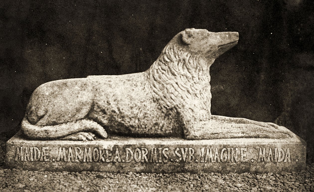 Socha Maidy, údajně oblíbený pes Sira Waltera Scotta. (sépiová fotka) od William Henry Fox Talbot
