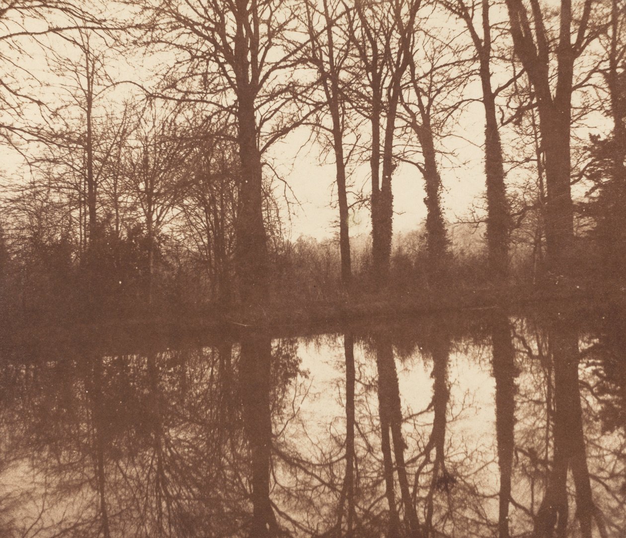 Zimní stromy, odráží se v rybníku od William Henry Fox Talbot
