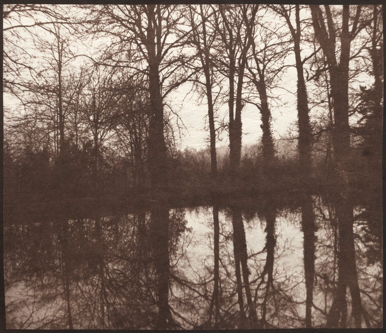 Zimní stromy odrážející se v rybníku od William Henry Fox Talbot