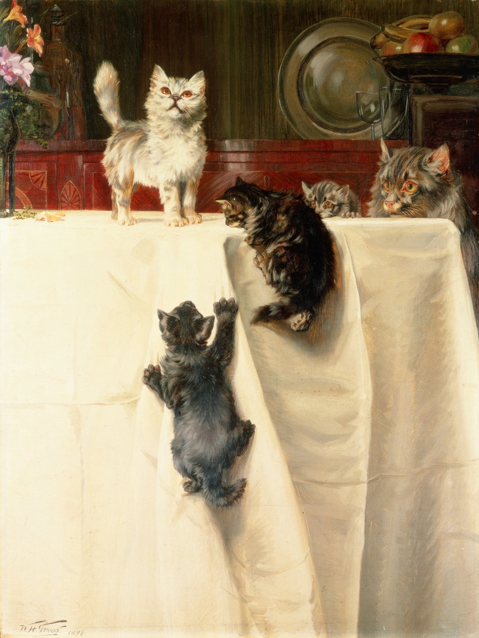 Kočky od William Henry Hamilton Trood