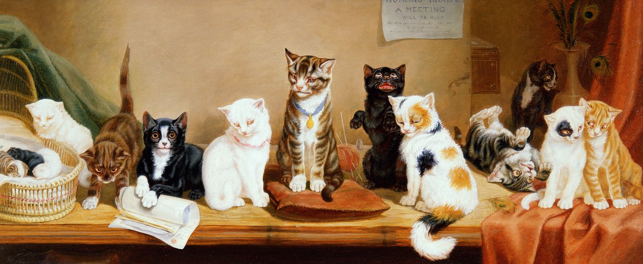 Práva žen - setkání, 1885 od William Henry Hamilton Trood