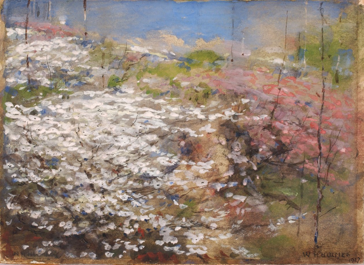 Pole květů, 1927. od William Henry Holmes