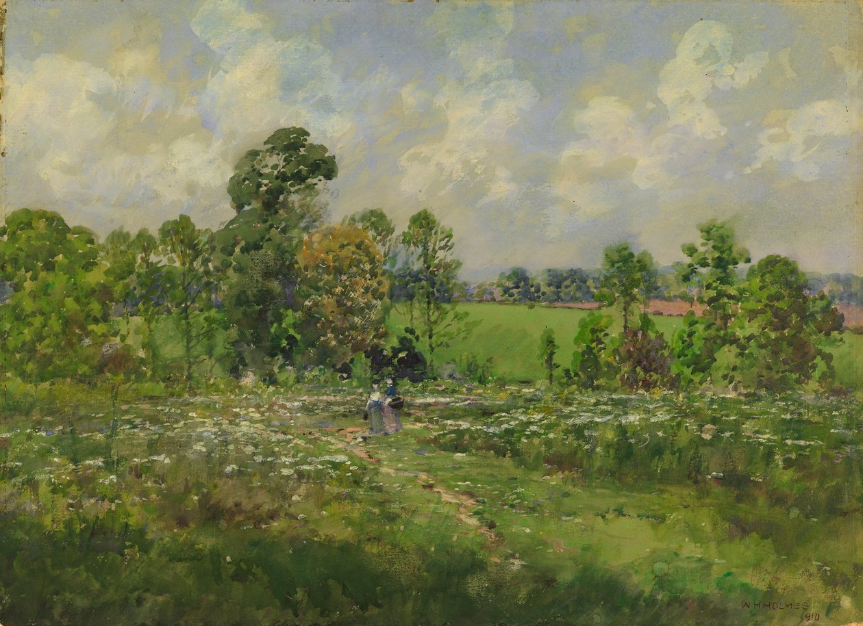Květnatá louka od William Henry Holmes