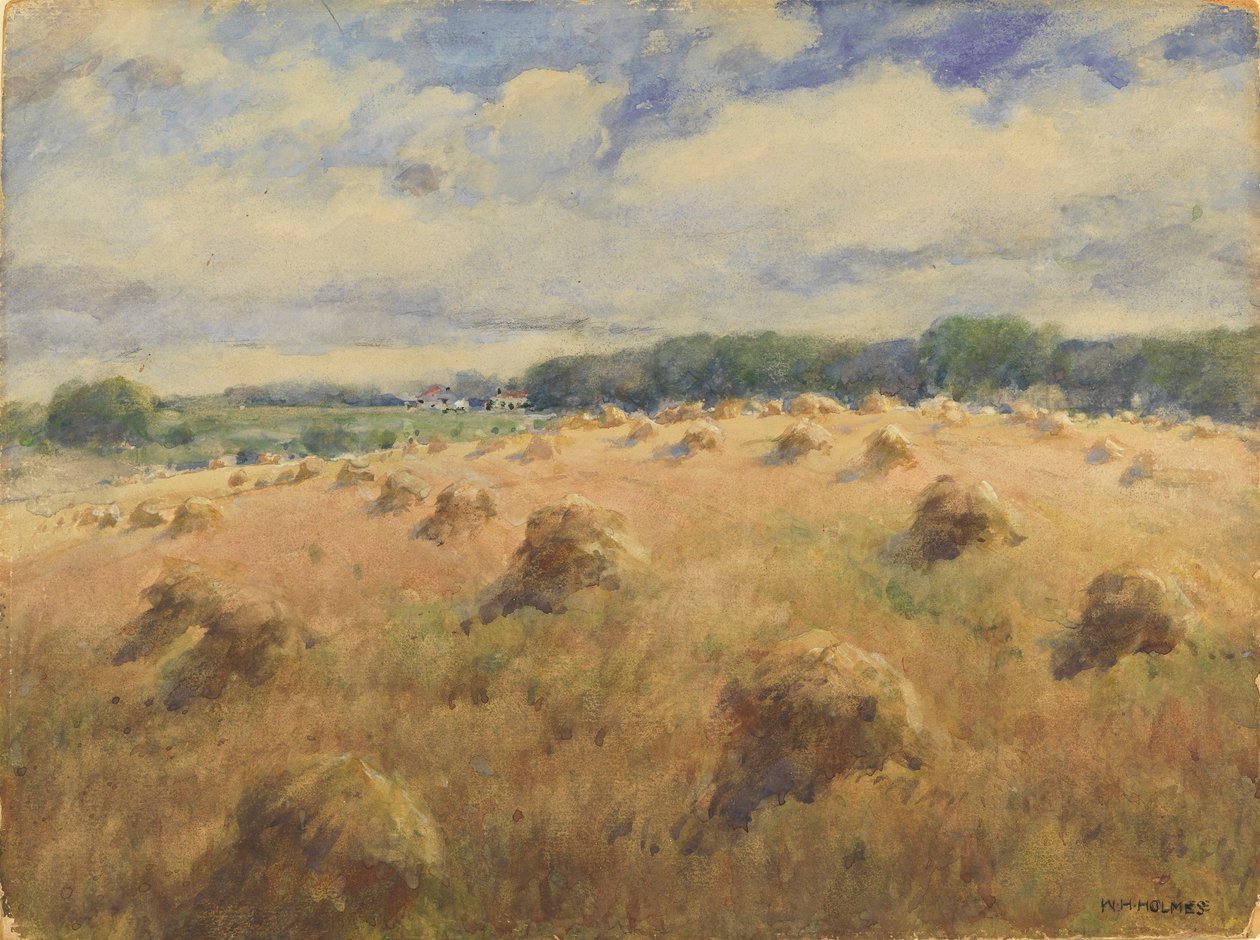 Pšeničná pole v Marylandu od William Henry Holmes