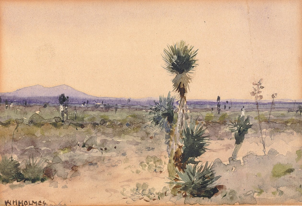 Yuccaland--Chihuahua, Mexiko od William Henry Holmes