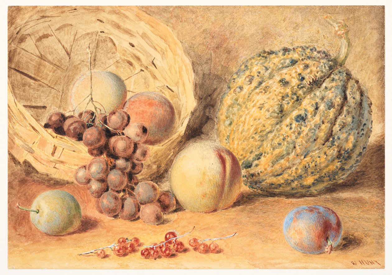 Kori melonia, persikoita, viinirypäleitä ja luumuja, n. 1804 (grafiitti, vesiväri, johon on lisätty arabikumia, vartaloväri ja raapiminen kudottupaperille) od William Henry Hunt