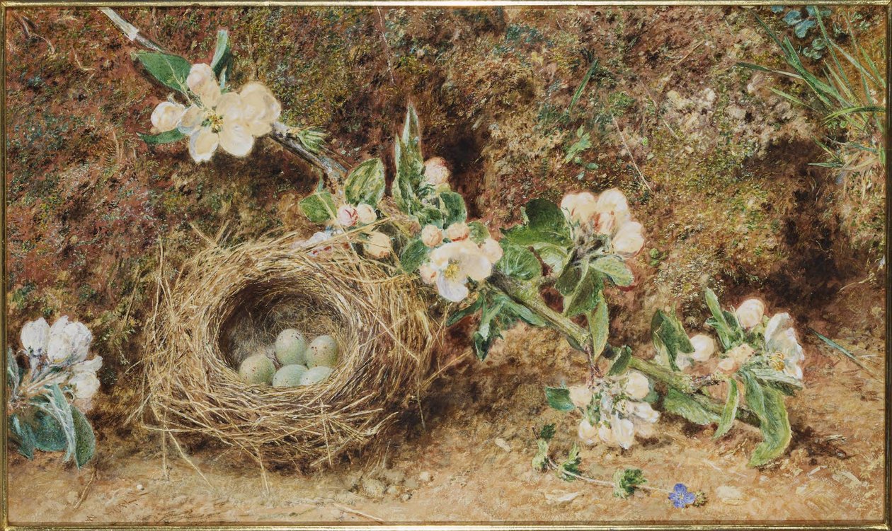 Ptačí hnízdo a květ od William Henry Hunt