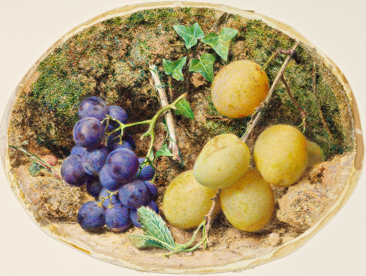 Golden Drop Plums and Black Grapes, c.1860 od William Henry Hunt