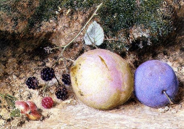 Šípky, ostružiny a švestky od William Henry Hunt