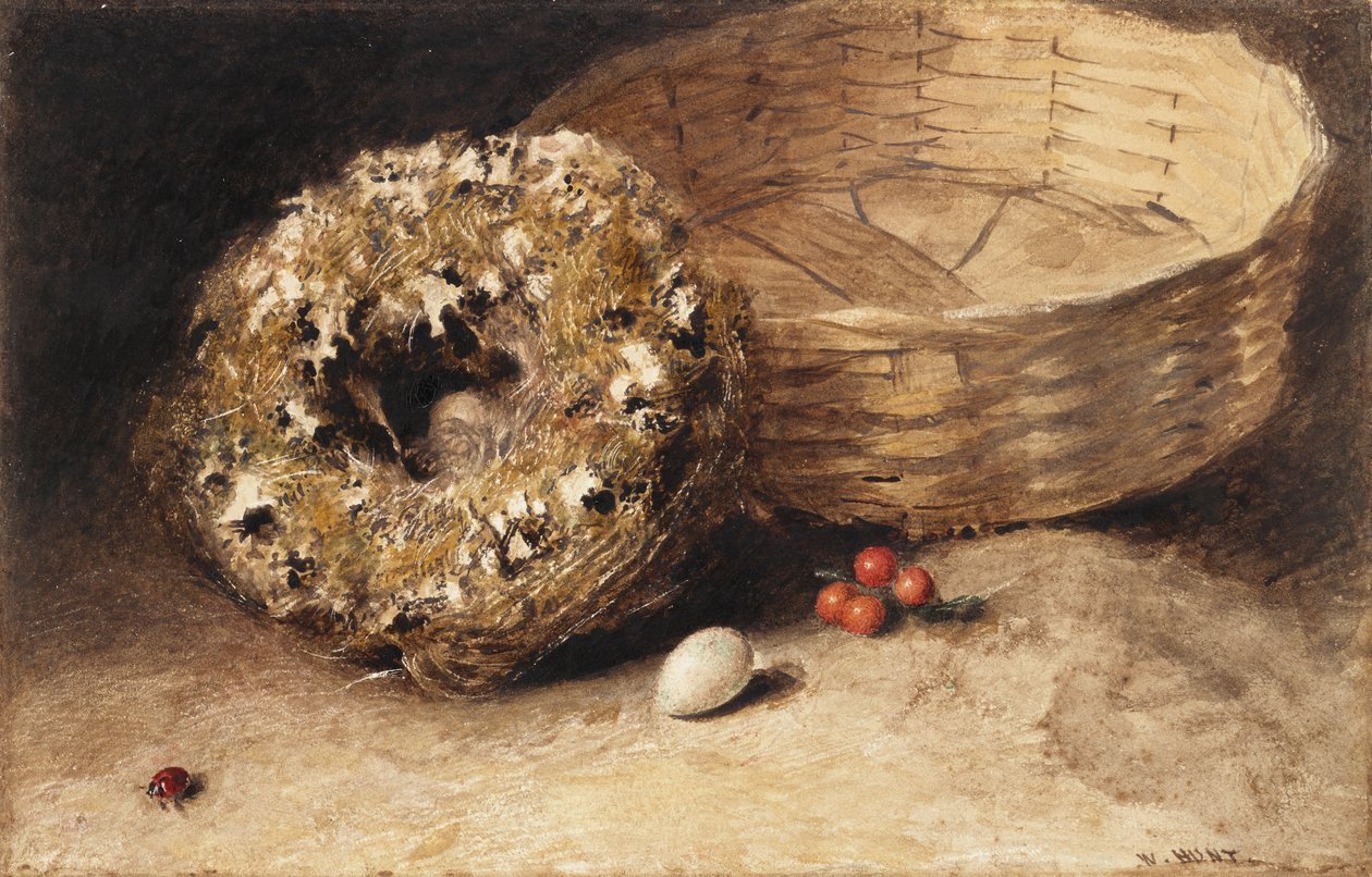 Zátiší s košíkem, hnízdem, vajíčkem, červeným rybízem a beruškou od William Henry Hunt