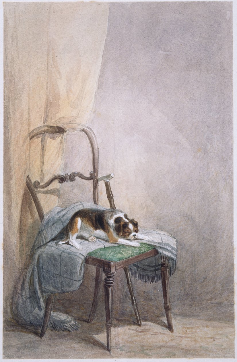 Studie psa na židli (akvarel na papíře) od William Henry Hunt