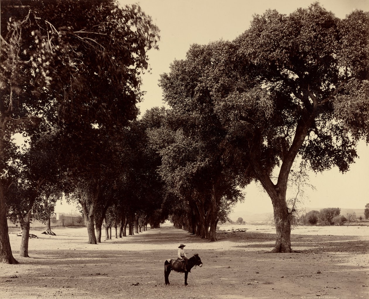 [Calle de Guadeloupe, Chihuahua, Mexiko] od William Henry Jackson