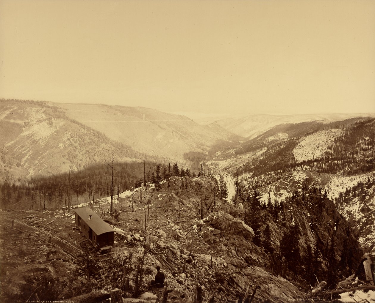 Údolí Los Pinos, pohled na východ od William Henry Jackson