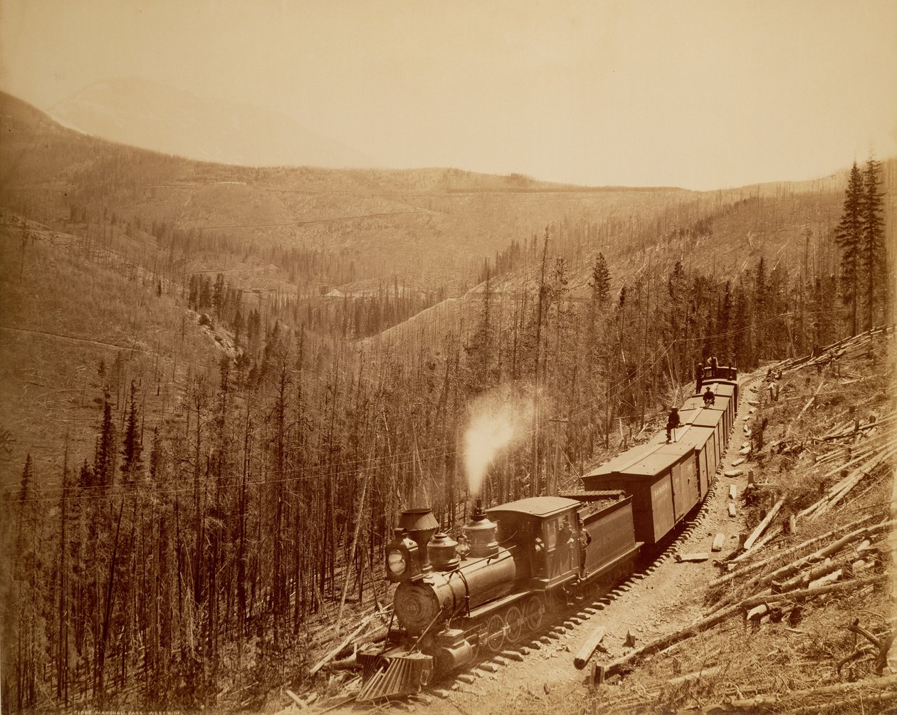 Marshall Pass, Westside od William Henry Jackson