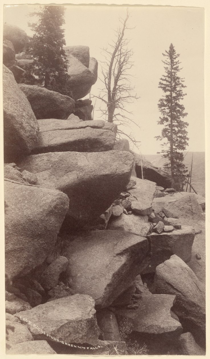 [Studie skal, Green Mountain Falls, Colorado] od William Henry Jackson