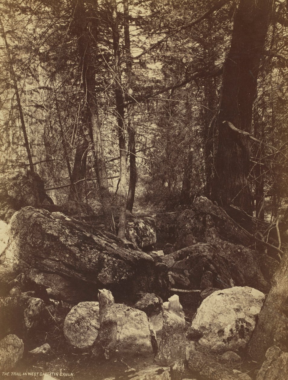 Stezka ve West Gallatin Cañon, c. 70. léta 19. století. od William Henry Jackson