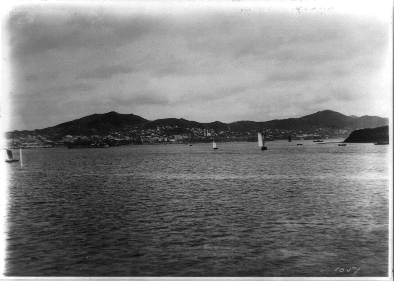 Vladivostok - panoramatický výhled z přístavu od William Henry Jackson