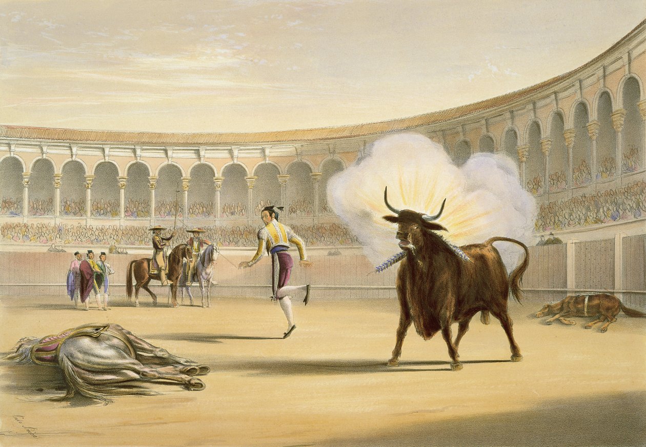 Vlajky ohně, 1865 od William Henry Lake Price